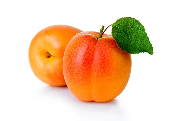 apricot