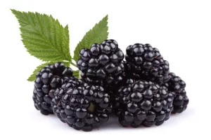 blackberry