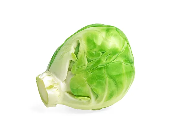 brussel sprout