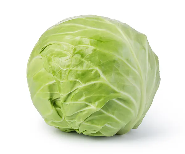 cabbage