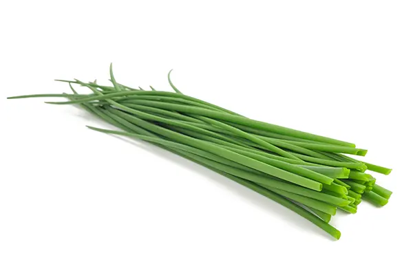 chives