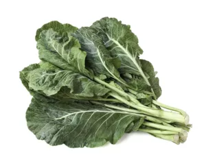 collard green