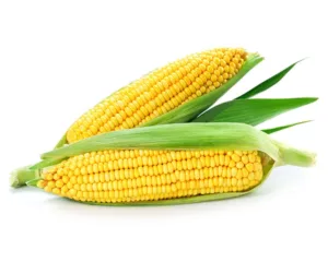 corn