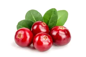 cranberries