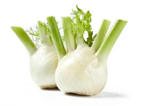 fennel