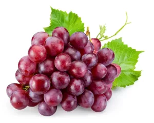 grape