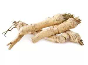 Horseradish