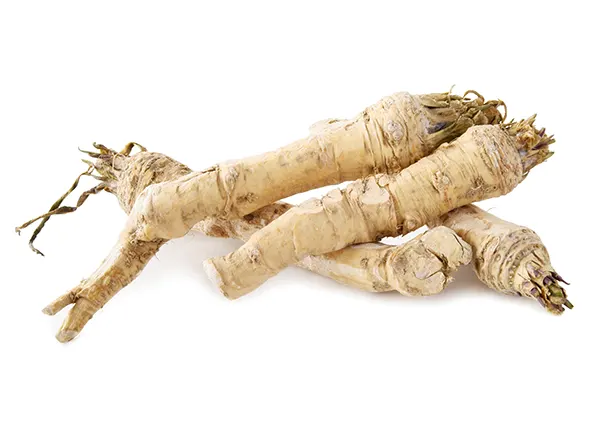 Horseradish