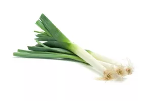 leek