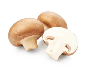 mushroom