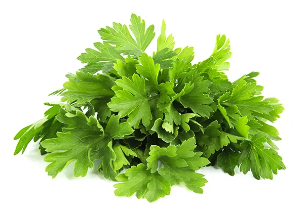 parsley