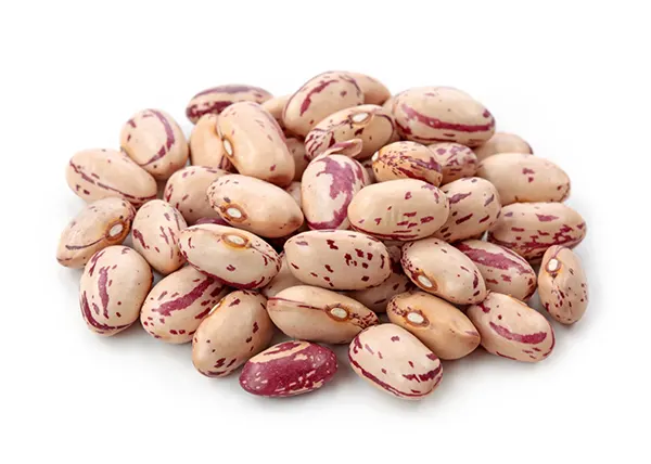 pinto beans