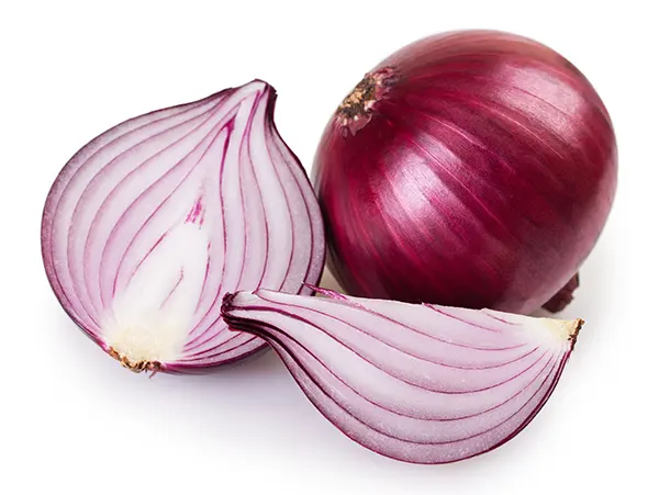 shallot