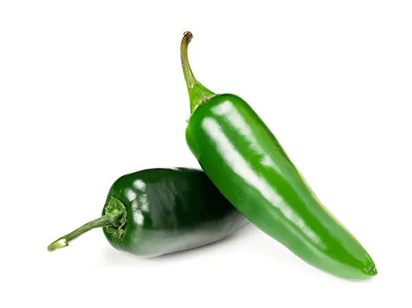 serrano pepper